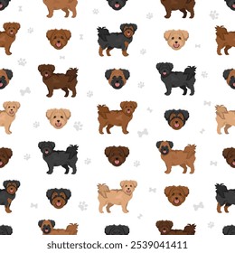 Affenpoo seamless pattern. Affenpinscher Poodle mix. Different coat colors set.  Vector illustration