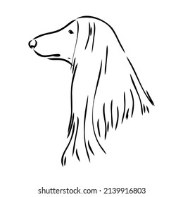 Afghan Hound. Black and white graphic drawing of a dog.