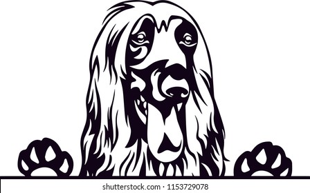 Afghan Hound Dog Breed Love Peeking Pet Puppy Mom Design Element Ribbon