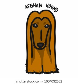 Afghan hound dog cartoon doodle style