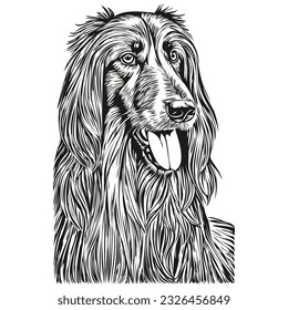 Afghan Hound dog ink sketch drawing, vintage tattoo or t shirt print black and white vector