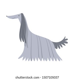 Afghan hound dog. Raster illustration in flat cartoon style