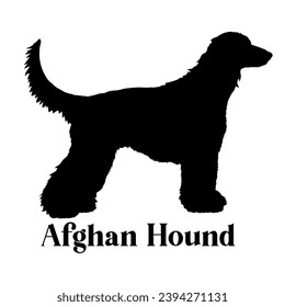 Afghan Hound Dog silhouette dog breeds logo dog monogram logo dog face vector