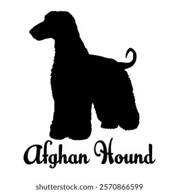 Afghan Hound. dog silhouette, dog breeds, logo, vector, silhouette,  animal, illustration, icon, sign, design, black, symbol, pet, love
