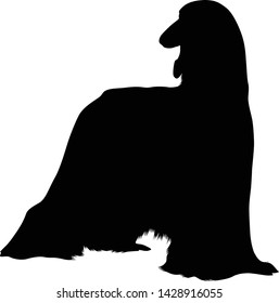 Afghan Hound Dog Silhouette Vector 
