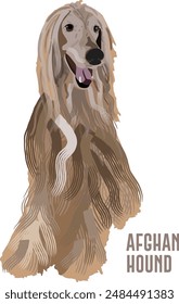 Perro sabueso afgano en pose de sentado. Diseño lindo del logotipo del perfil, color popular, arte de la tarjeta postal del personaje de la raza del animal doméstico. Ilustración marrón detallada. Estilo de dibujos animados, estilo de dibujo