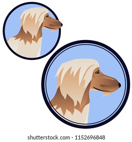 Afghan hound head in circle
