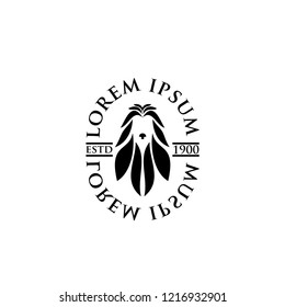 Afghan Hound head logo icon designs vector illustration