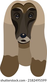 Afghan hound head portrait illustration in graphic style