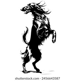 Afghan Hound jumps monochrome outline drawing, realistic tattoo painting on transparent background