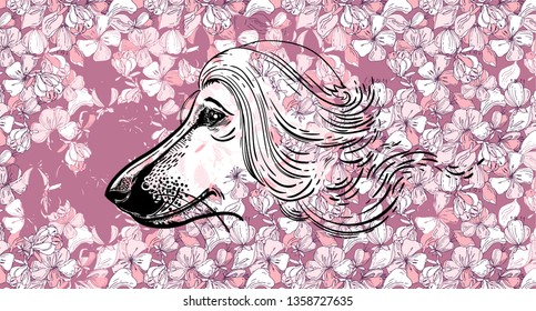 Afghan hound on the background of cherry blossoms or Apple trees. A purebred hunting dog. Vector illustration. Design for cover, poster or banner. Postcard with spring mood. Decorative background.