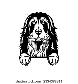 Afghan Hound Peeking Dog Vector, Peeking Hund Cut File, Cricut Laser