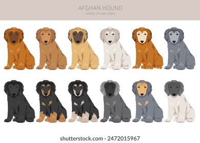 Cachorro de perro afgano todos los colores Clipart. Diferentes colores de la capa establecidos. Ilustración vectorial