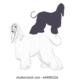 Afghan hound silhouette and hand drawn dog sketch isolated on white background.