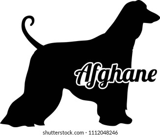 Afghan Hound silhouette real with word in german