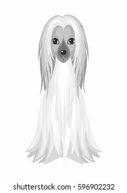 Afghan Hound. Vector image of a cute purebred dogs in cartoon style.