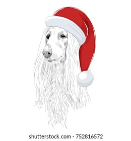 Afghan hound wears Christmas hat. Hand drawn holiday dog sketch isolated on white background.