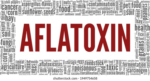 Rajeev Varshney Aflatoxins Pose A Serious Health Risk Facebook