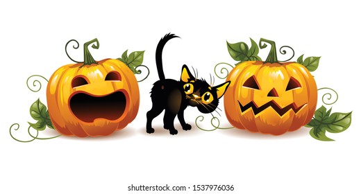 Afraid black cat and halloween pumpkins. Horizontal banner. 