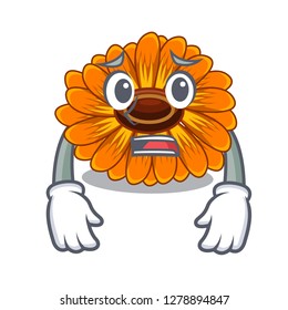 Afraid calendula flower in the mascot stem