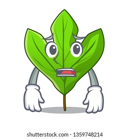 Afraid sassafras leaf in the mascot pots