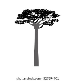 africa acacia tree icon vector illustration graphic design