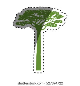 africa acacia tree icon vector illustration graphic design