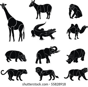 africa animal vector set