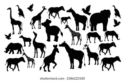 Africa animals collage vector design 