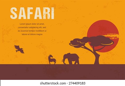 Africa - background, template and illustrations 
