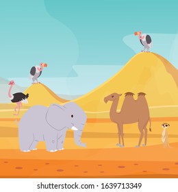 Africa desert landscape background with cartoon flat african animals and birds vector illustration for kids. Egypt hot dunes with africa camel, elephant, bald eagle and meerkat backdrop.