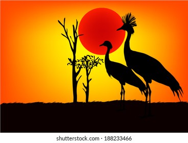 Africa Egret in sunset. Vector.