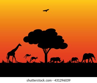 Africa elephant wildlife kangaroo giraffe rhinoceros evening time
