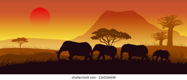 Africa elephants sunset silhouettes vector.