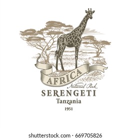 Africa, Giraffe in the Savannah, Serengeti, illustration, vector