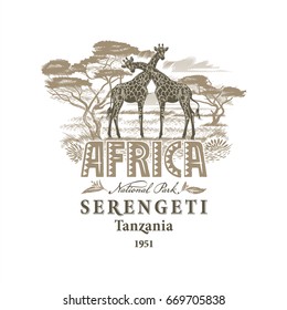 Africa, Giraffes in the savanna, illustration, vector