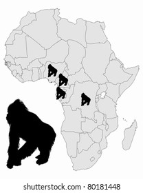 Africa Gorilla range