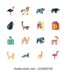 africa icon set. vector set about rhinoceros, flamingo, animal kingdom and zebra icons set.