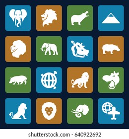 Africa icons set. set of 16 africa filled icons such as lion, hippopotamus, elephant, pyramid, globe and plane