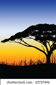 Africa landscape