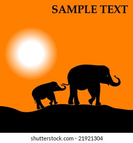 Africa landscape with sunset and elephant vector background