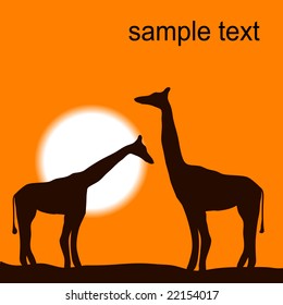 Africa landscape with sunset and giraffes vector background