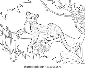 Africa, leopard sits on tree branch, around creeper. Childrens coloring, black lines, white background.