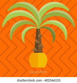Africa plants. Palm trees, flowers and green grass, white background