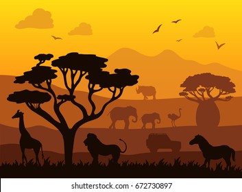 Africa safari landscape Vector illustration sunrise and sunset background