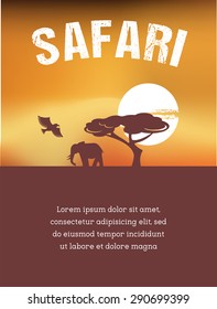 Africa and Safari poster design