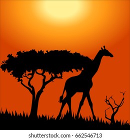 Africa safari - silhouettes of wild animals in twilight