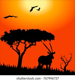 Africa safari - silhouettes of wild animals in twilight