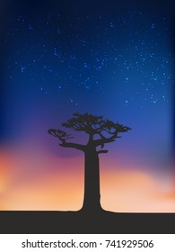 Africa, Sunset, Baobab