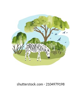 Africa. Vector acacia tree, birds and zebra. Bright hand draw vector Illustration with tree, plants and animal for print, banner, sticker